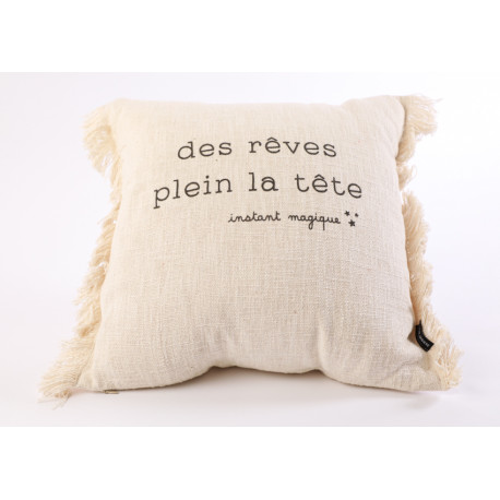 Coussin Excusez le bazar