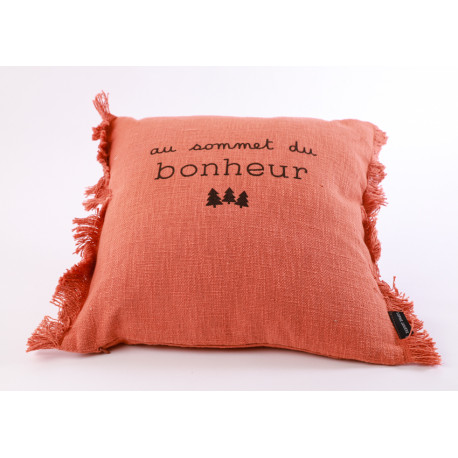 Coussin Excusez le bazar