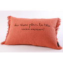 Coussin Excusez le bazar