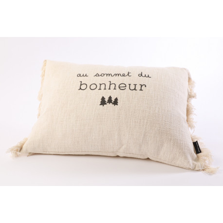 Coussin Excusez le bazar