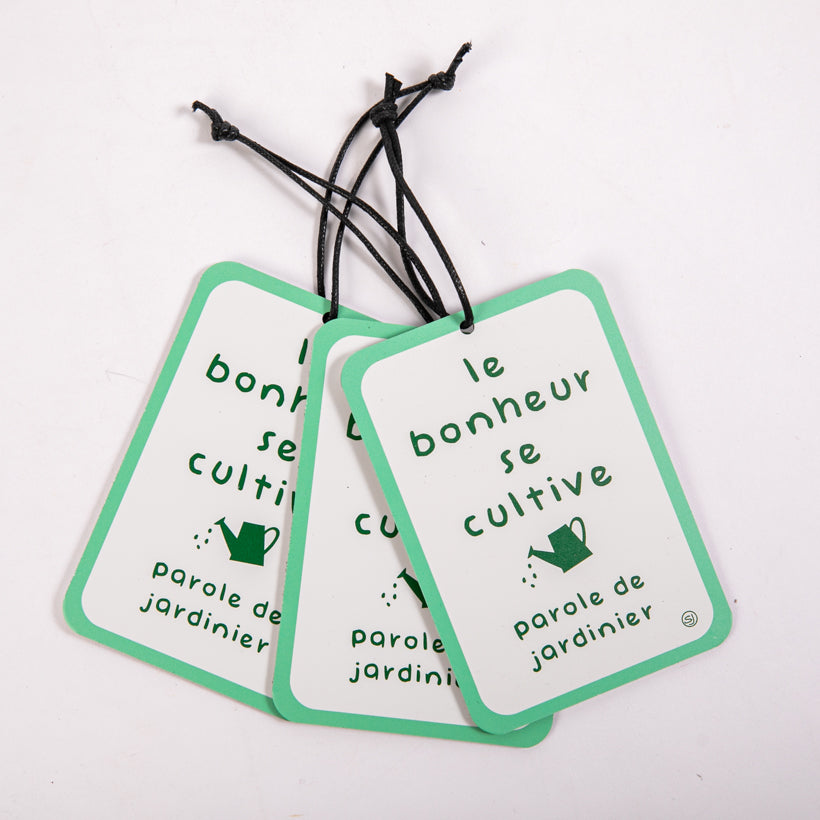 Mini plaque décorative le bonheur se cultive